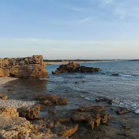 Home Green בית נופש Mogoro