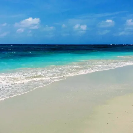 Feriehus Home Green Mogoro