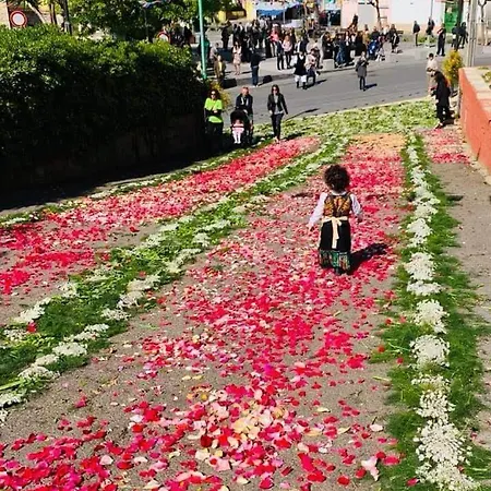 Home Green בית נופש